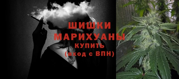 молекула духа Иннополис