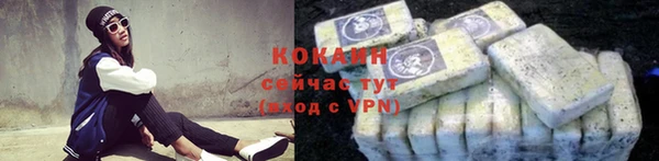 Альфа ПВП Инсар