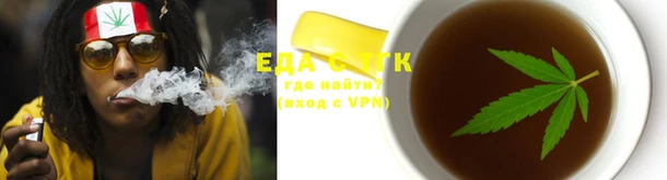 Альфа ПВП Инсар