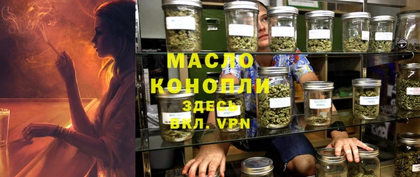 Альфа ПВП Инсар