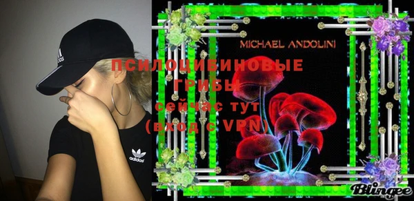 MDMA Premium VHQ Инта
