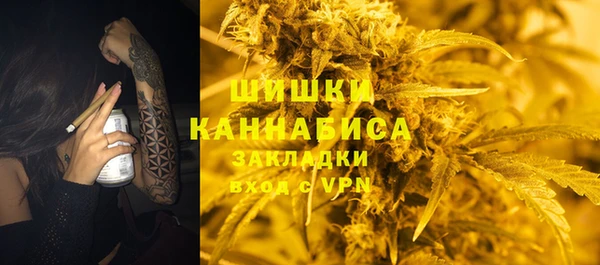 Альфа ПВП Инсар