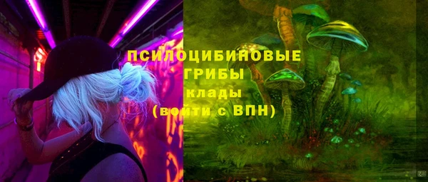молекула духа Иннополис