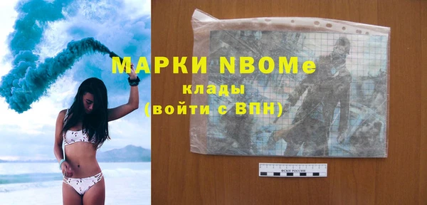 Альфа ПВП Инсар