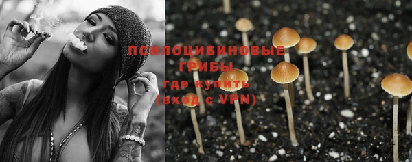MDMA Premium VHQ Инта