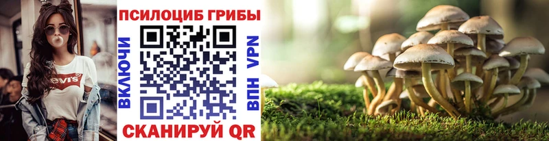 Купить где  Феодосия  Псилоцибиновые грибы Magic Shrooms 